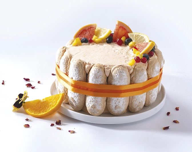 gros-cuiller-pâtissier-delos-pro-a-pro