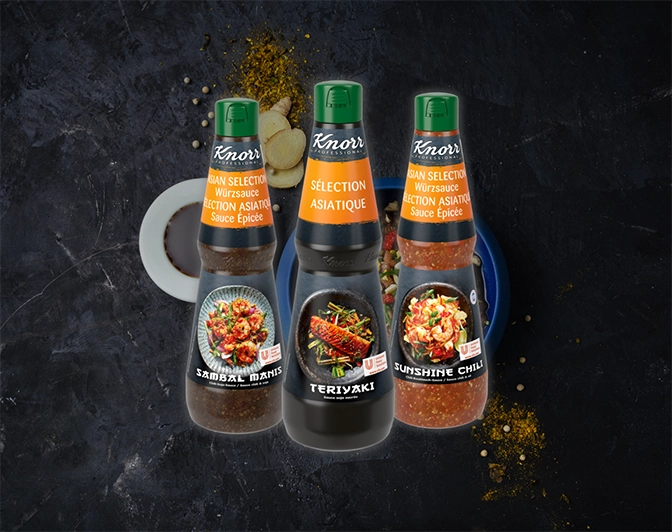 sauce-cuisine-du-monde-knorr-professional-pro-a-pro