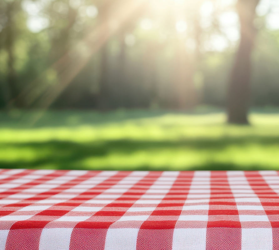 repas en plein air pro à pro