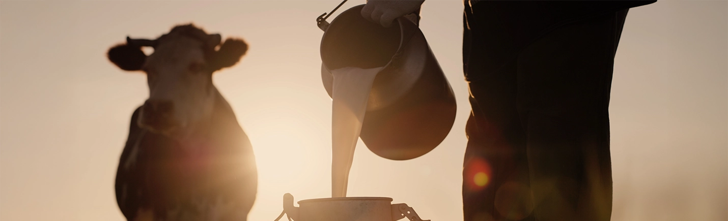 Soutien aux producteurs français - C'est qui le patron ?