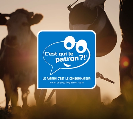 pro à pro c'est qui le patron