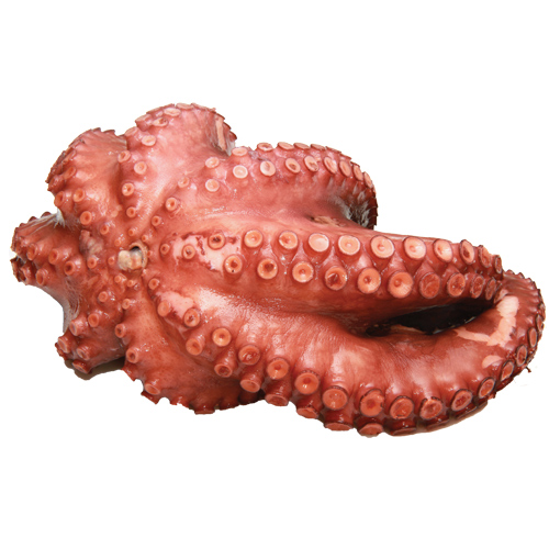 162203-poulpe-entier-nettoye-0-8-1-2-kg-12-kg