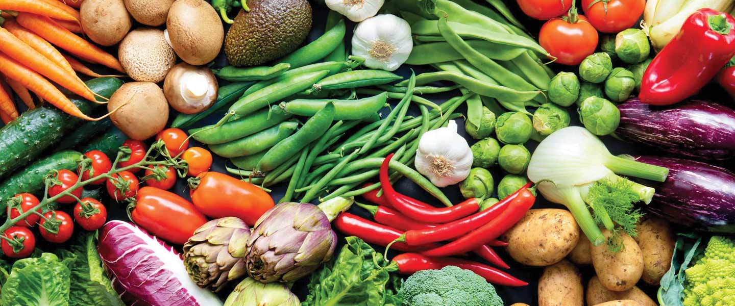 Bannière de la marque