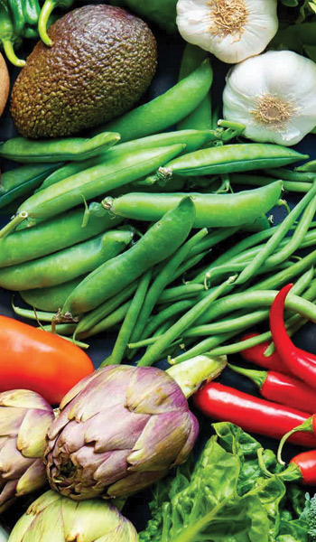 Bannière de la marque