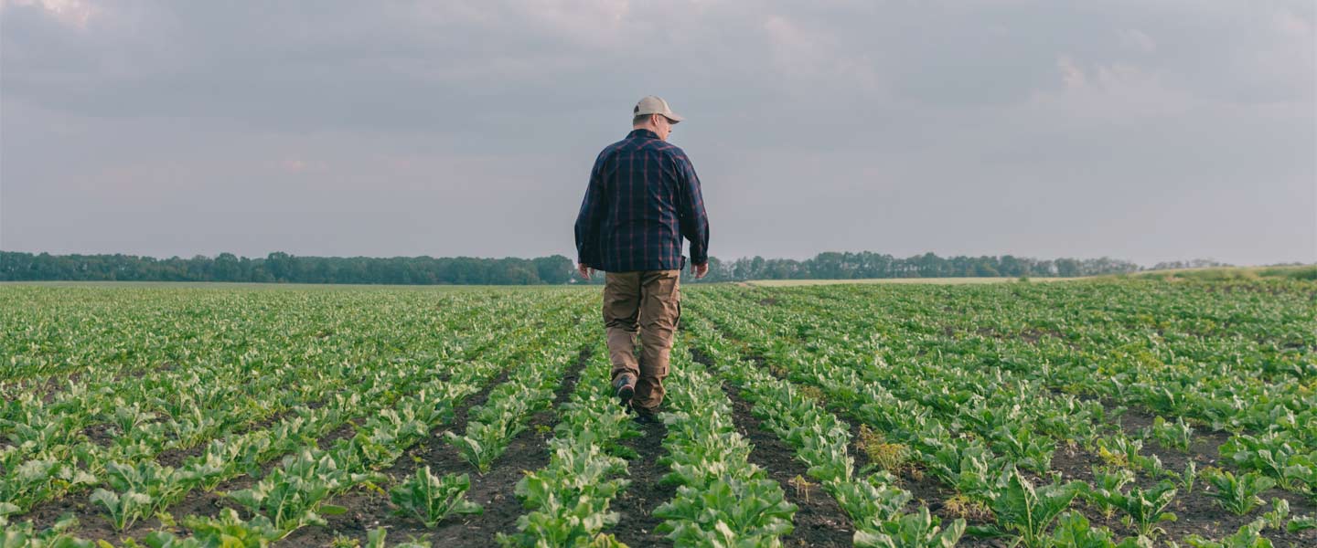Bannière de la marque