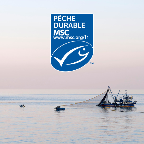 label msc pro à pro