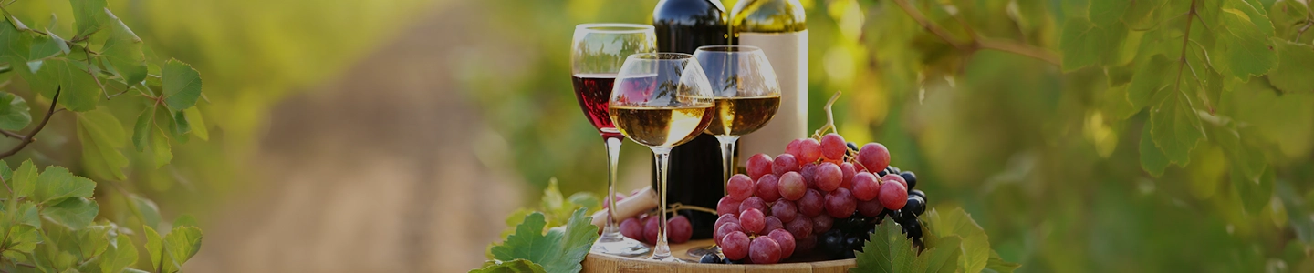 Foire aux vins