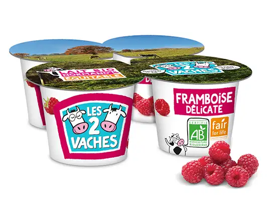 40115-yaourt-bio-a-la-framboise-115-g-x-4
