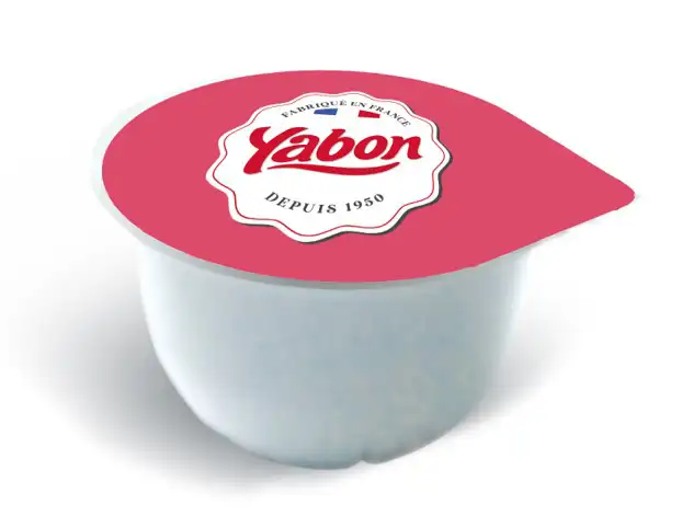 162932-creme-dessert-a-la-vanille-bqt-120-g-x-72